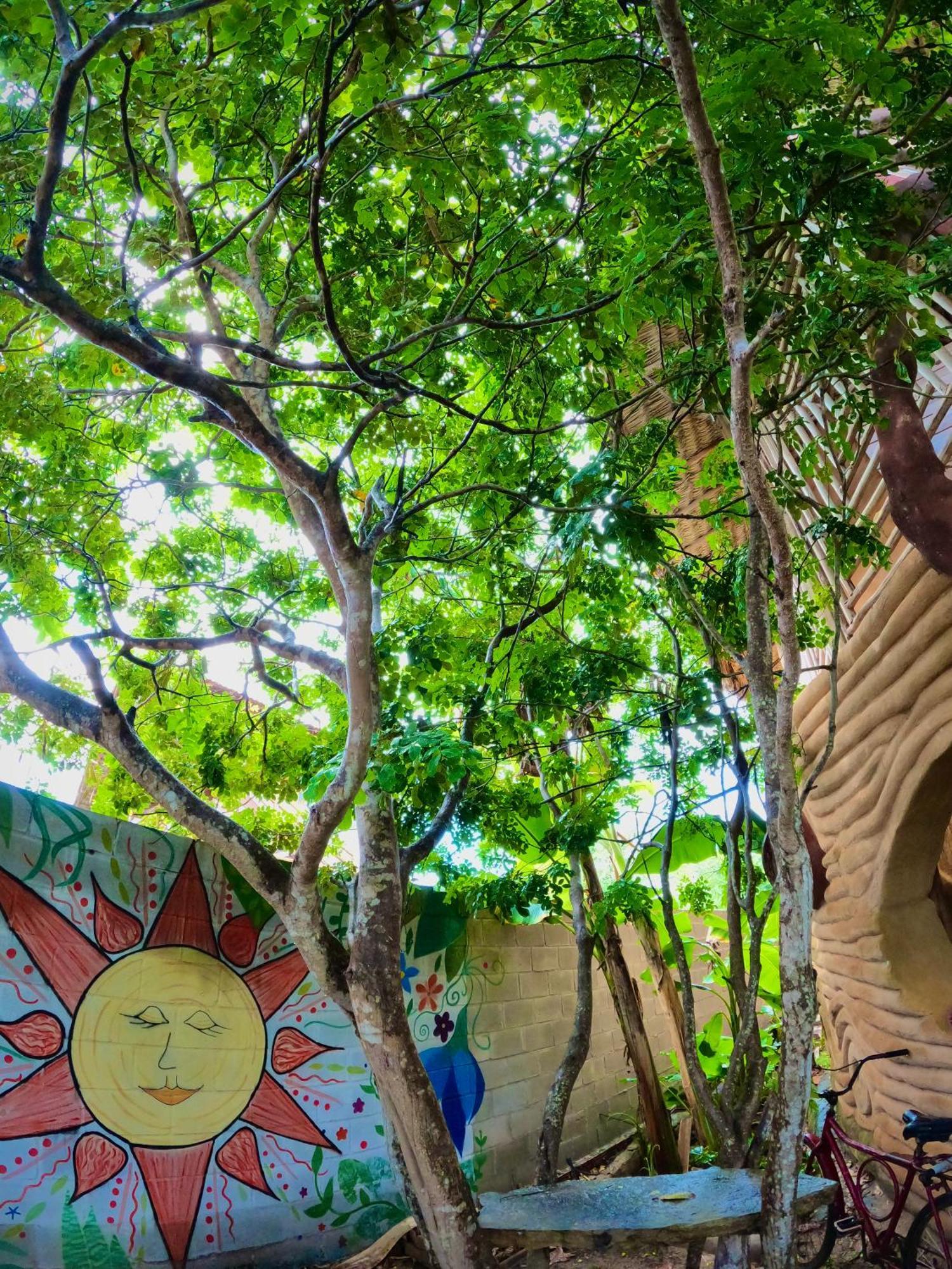 Raízes Eco Hostel Barra Grande  Exterior foto